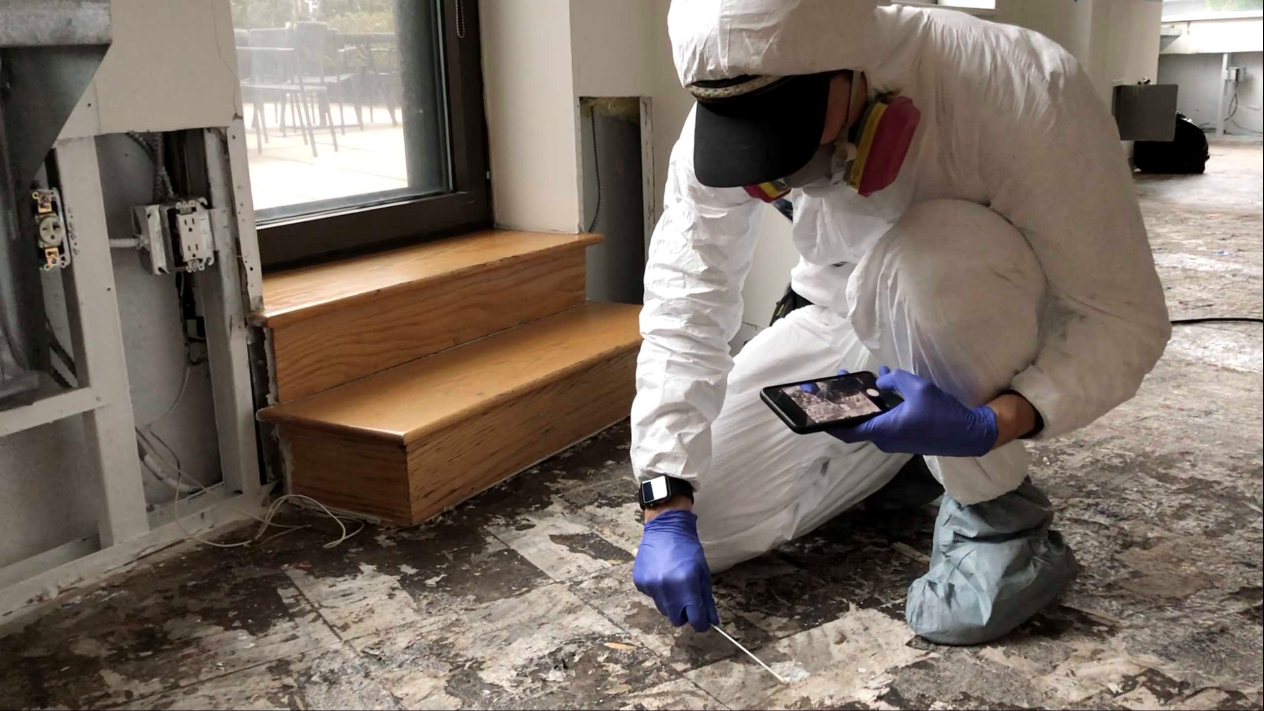 Sydney Mold Removal