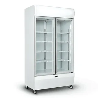 Double Door Display Fridge
