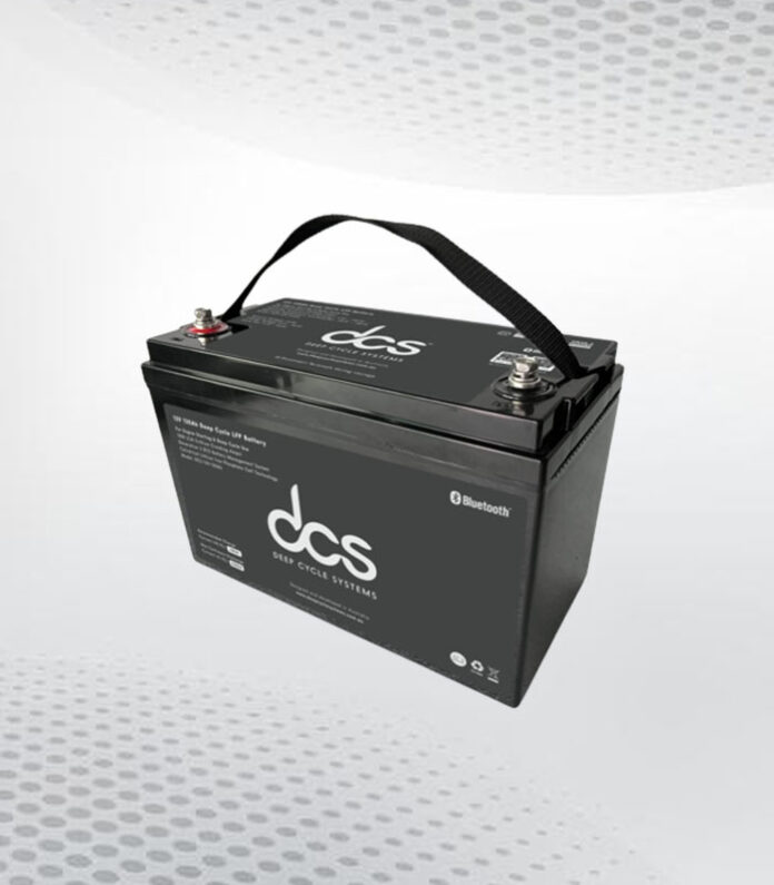 lifepo4 batterij 12v 100ah